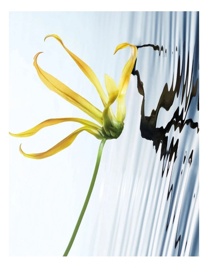 L'eau D'issey EDP Intense