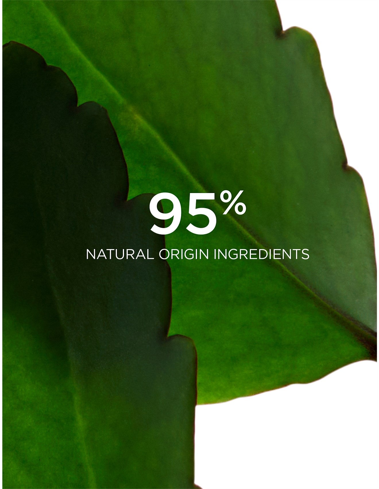 Clarins Fresh Scrub 50ml