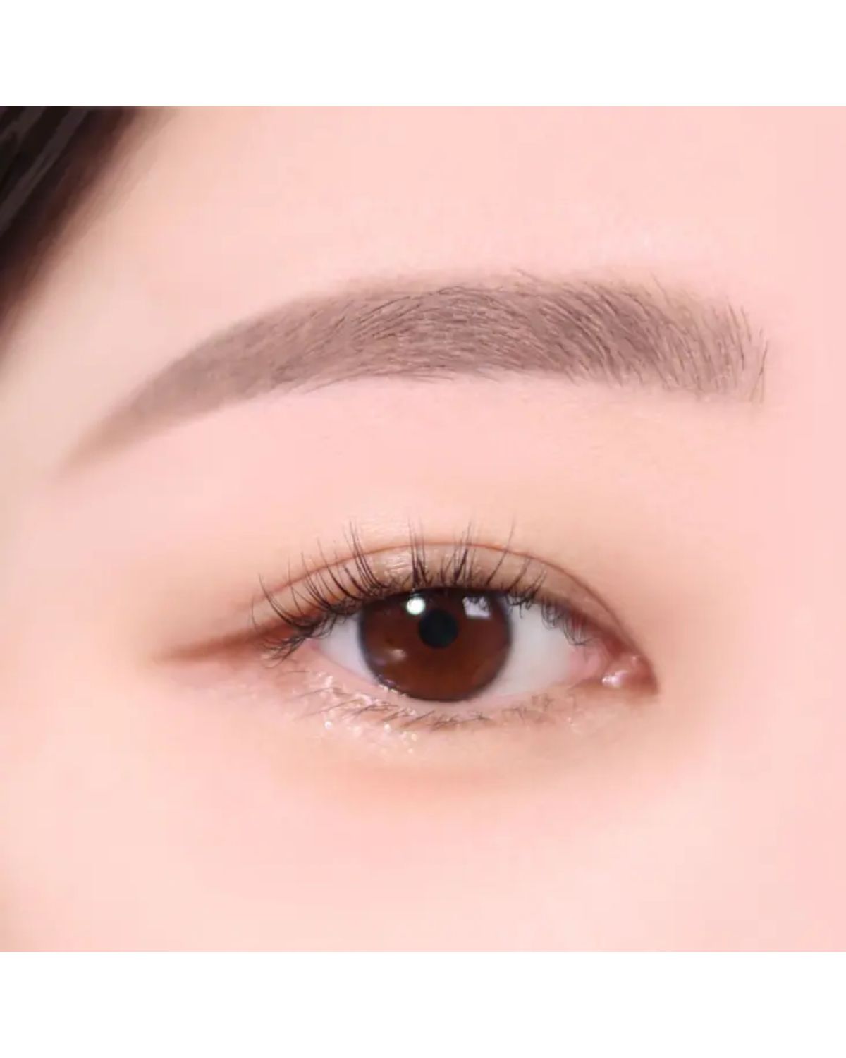 The Brow Color Fixing Cara