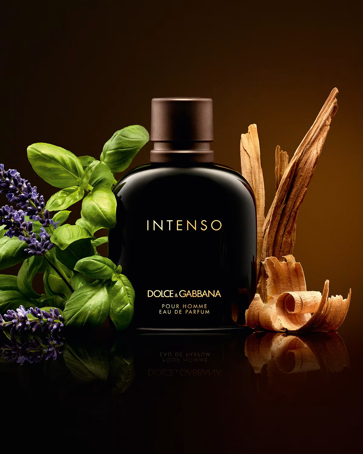 Dolce & Gabbana Intenso Pour Homme