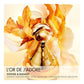 J'Adore L'or Essence De Parfum