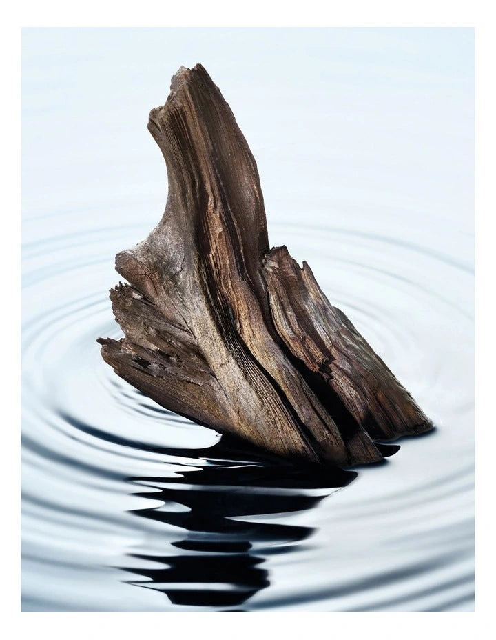 L'eau D'issey Pour Homme EDP
