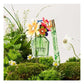 Daisy Wild Eau So Intense EDP