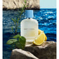DG Light Blue Pour Homme Edt