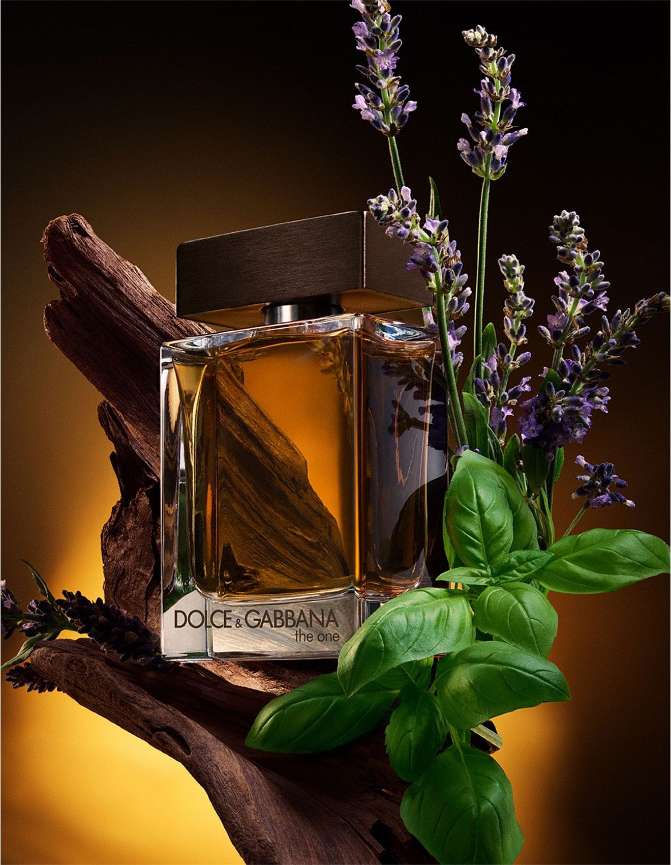 Dolce & Gabbana The One Pour Homme EDT