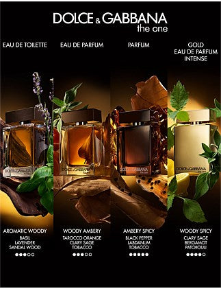 Dolce & Gabbana The One Pour Homme EDT