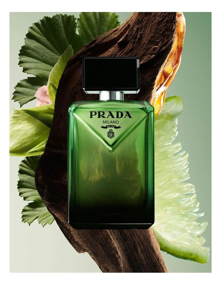 Paradigme Pour Homme EDP