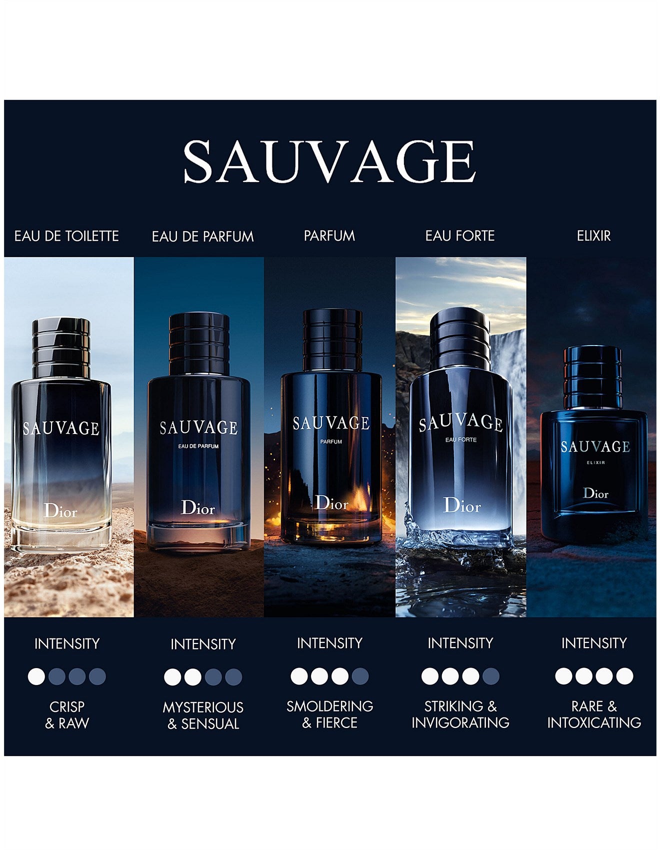 Sauvage Parfum 100ml Xmas 2024