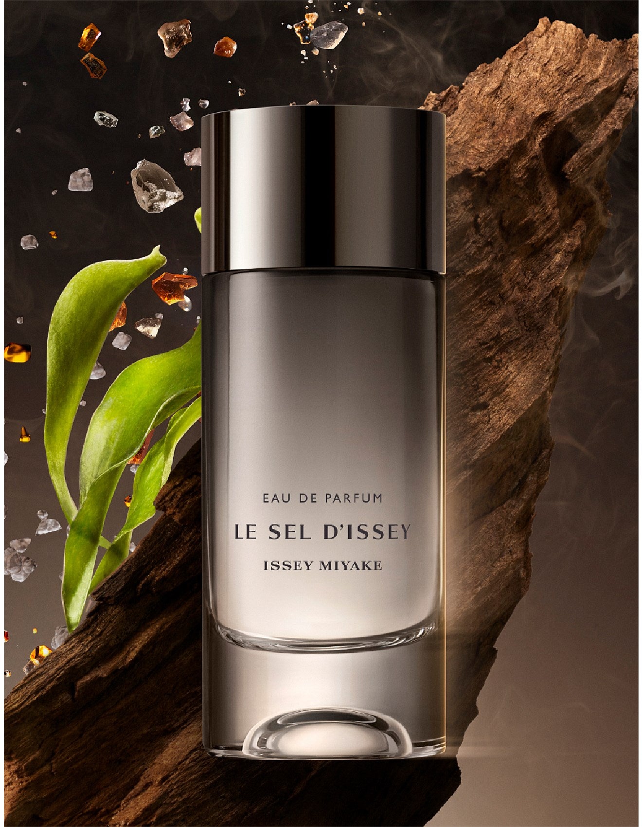 Le Sel D'Issey Homme