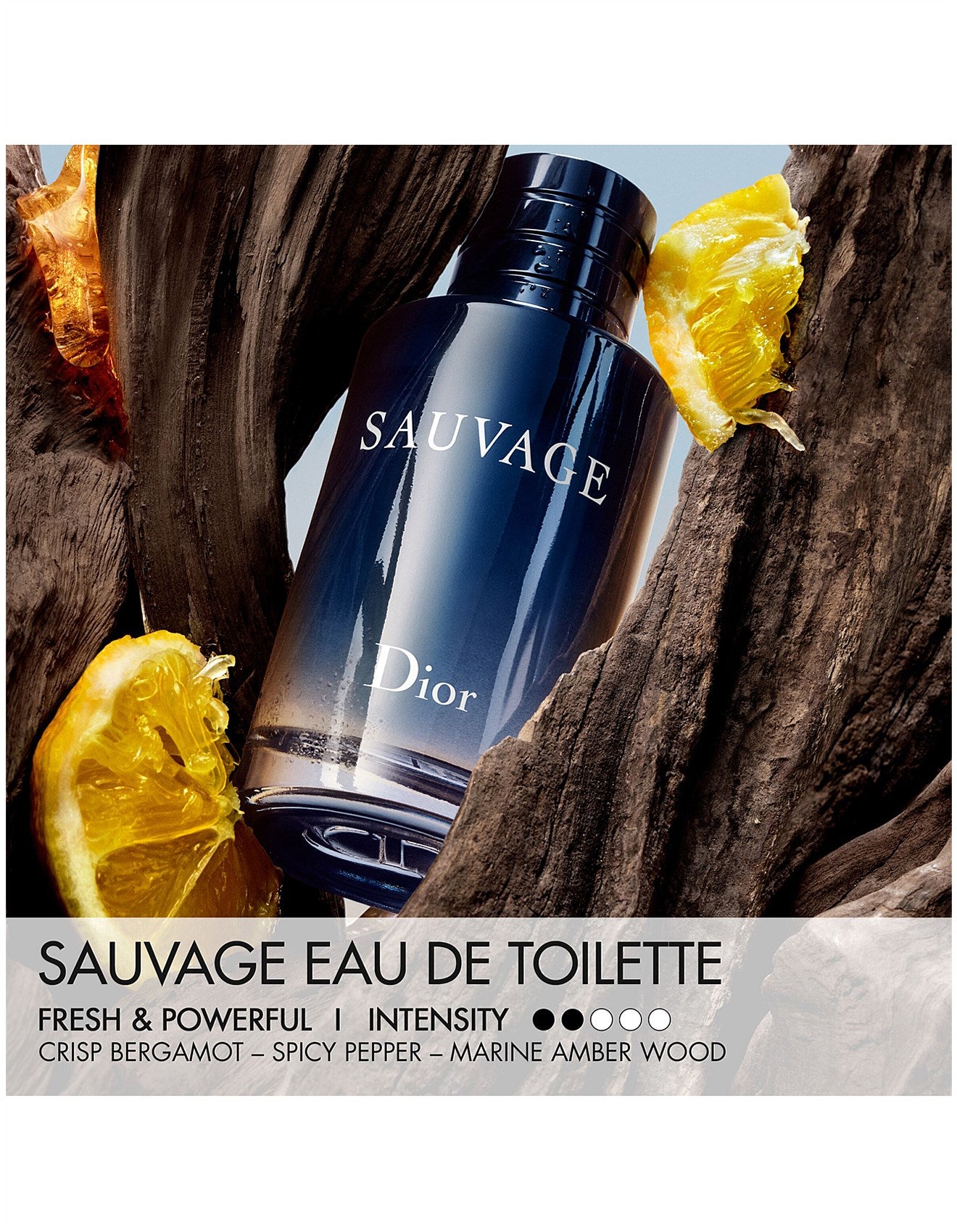 Sauvage EDT 100ml Xmas 25