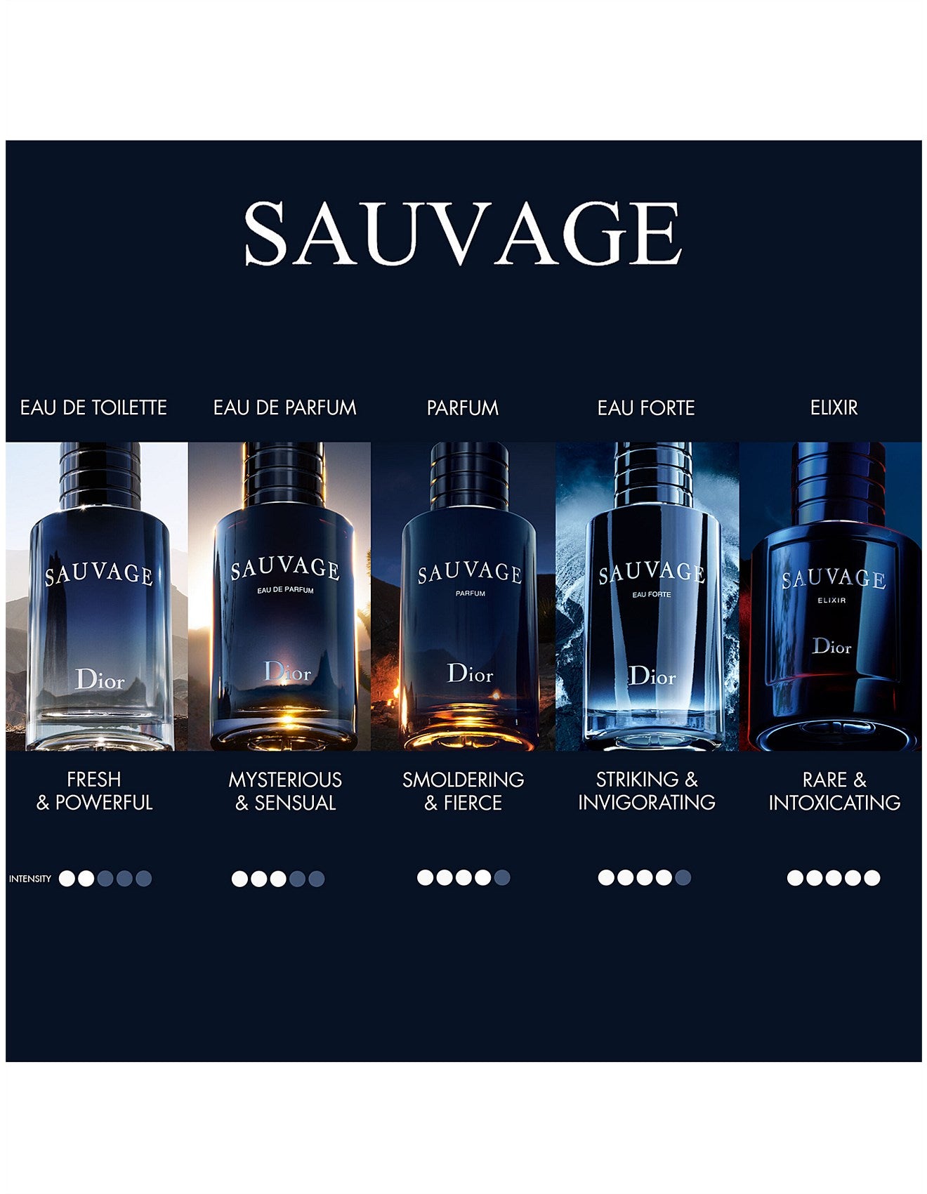 Sauvage EDT 100ml Xmas 25