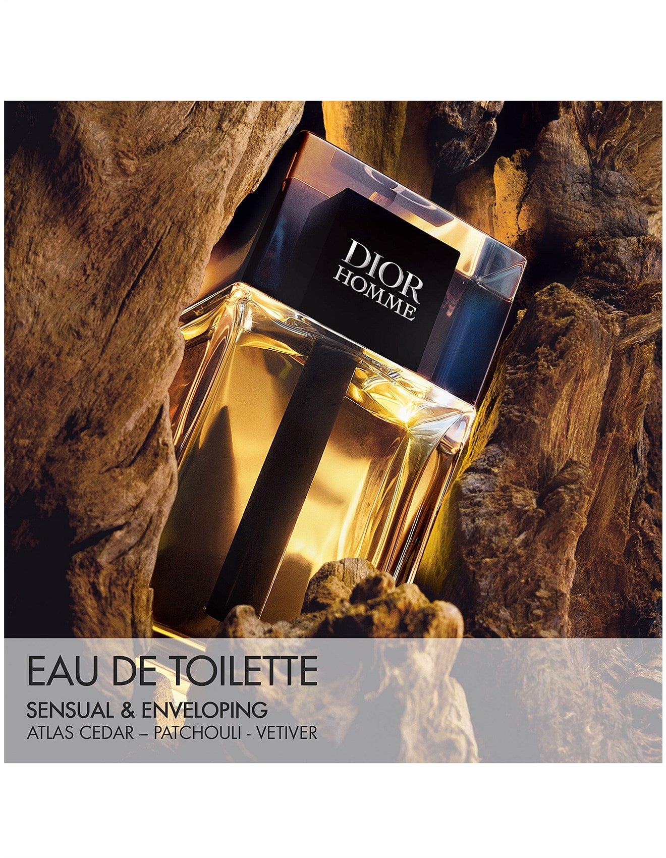 Dior Homme EDT 100ml Xmas 25