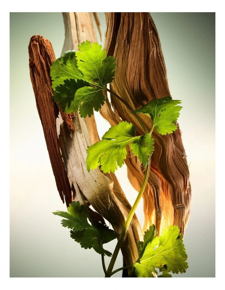Bvlgari Man Wood Essence Parfum