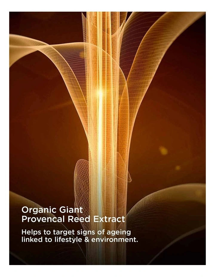 Double Serum & Super Restorative Collection