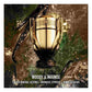 Invictus Elixir 100ml Xmas 26