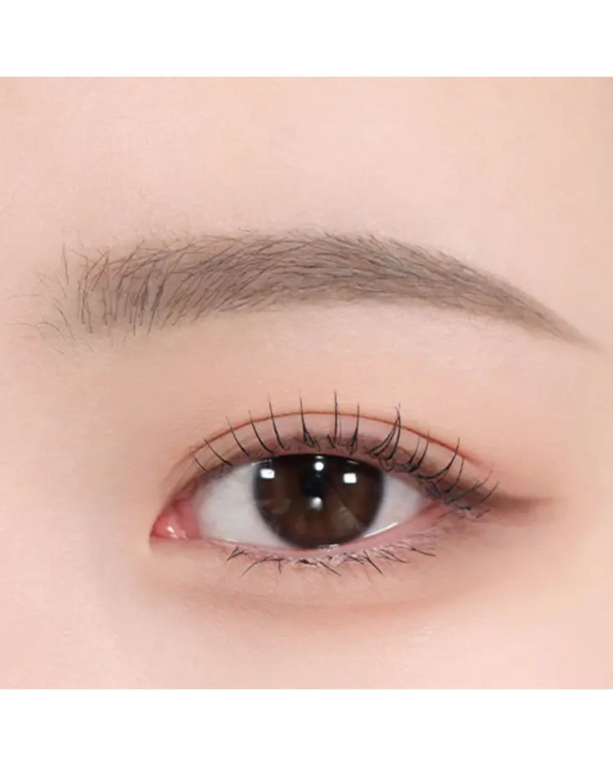 The Brow Color Fixing Cara