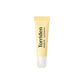 Solid In Ceramide Lip Essence 11ml