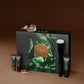 Dewy Perfection Set Light