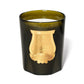 Cire Trudon - Trudon Intermezzo Candles 800gm - Abd El Kader Intermezzo Candle - The Beauty Shop - 3397696413038