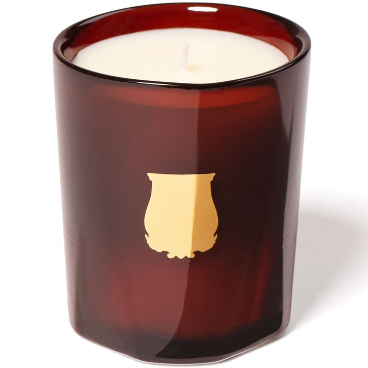 Cire Trudon - Trudon Petit Candles 70gm - Cire Petit Candle - The Beauty Shop - 3397696420326