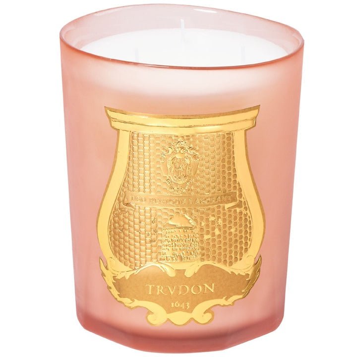 Cire Trudon - TRUDON TUILERIES COLLECTION - Intermezzo Candle 800g - The Beauty Shop - 3397690002450