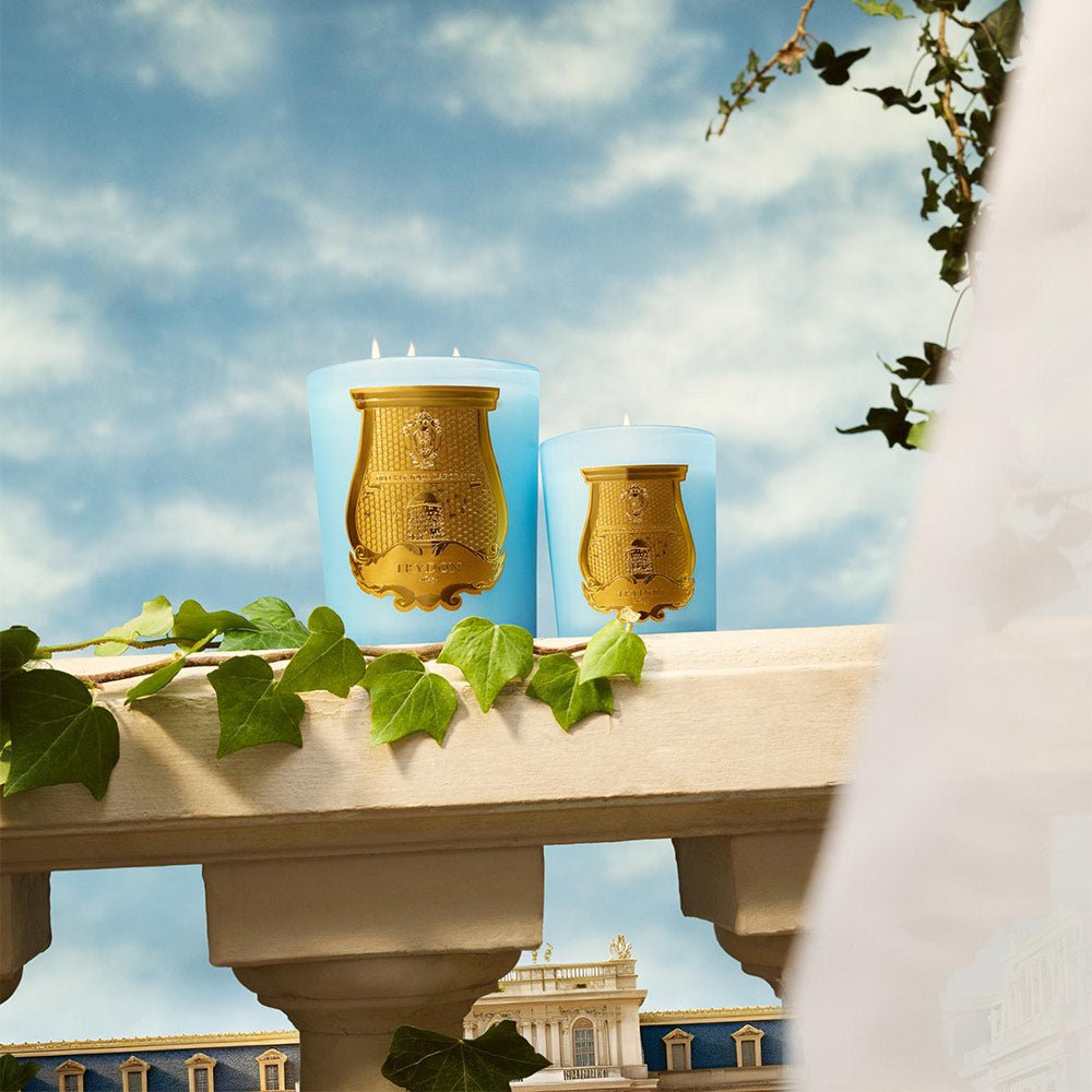 Cire Trudon - Trudon Versailles Candle - Petit Candle 70g - The Beauty Shop - 3397690003808