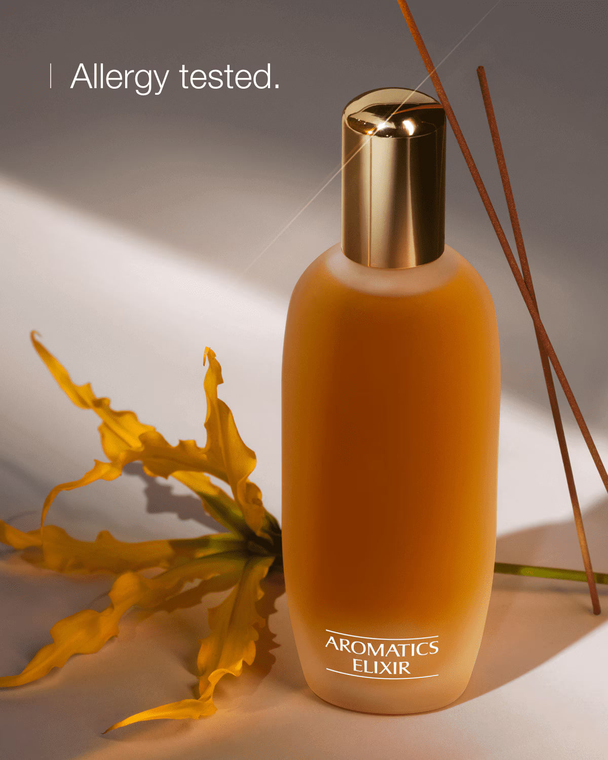 Aromatics Elixir 100ml Xmas 25