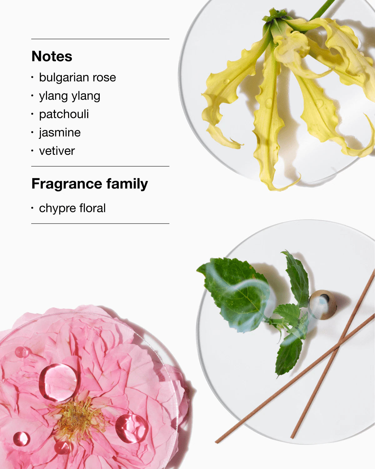 Aromatics Elixir 100ml Xmas 25