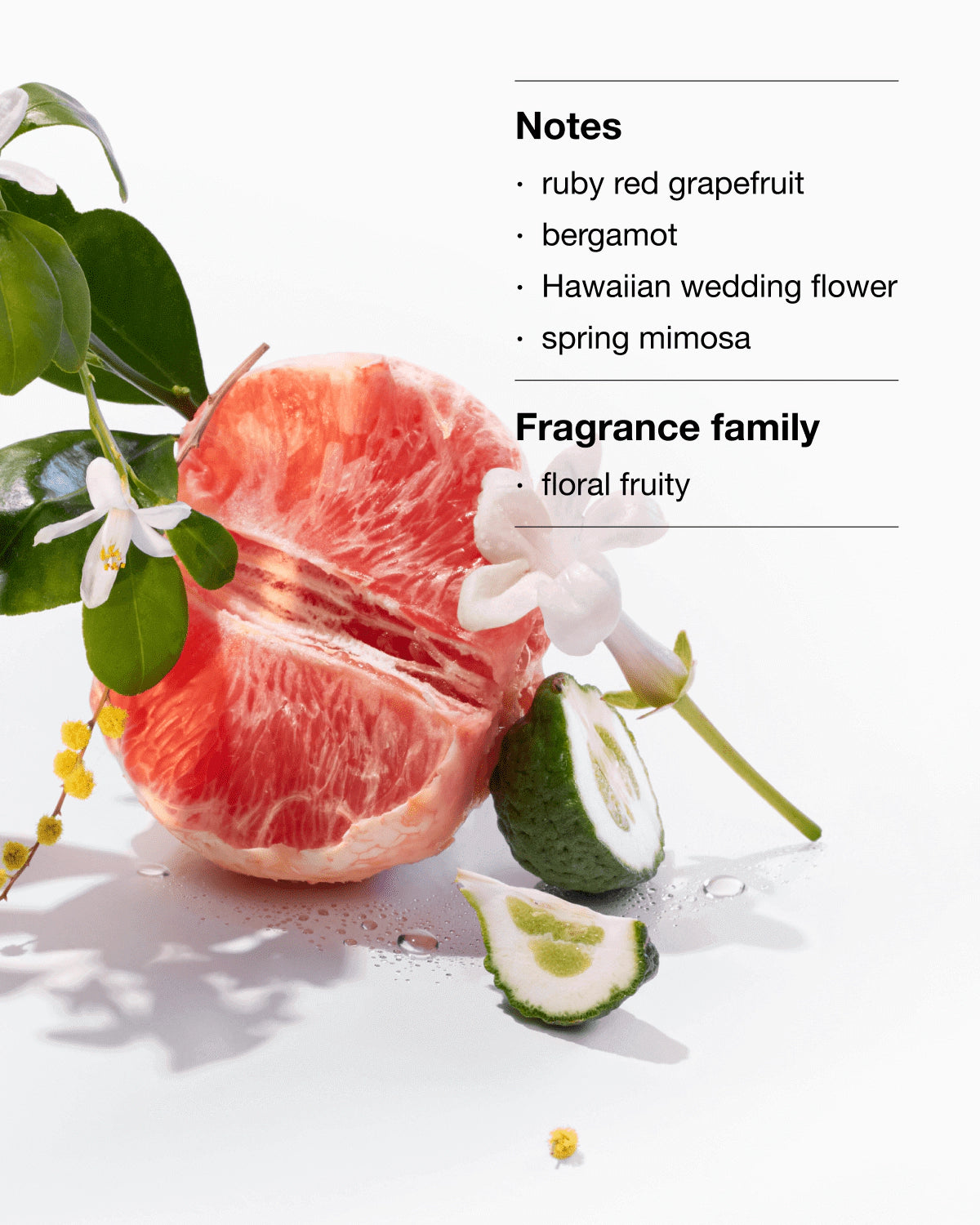 Perfectly Happy 50ml Xmas 25