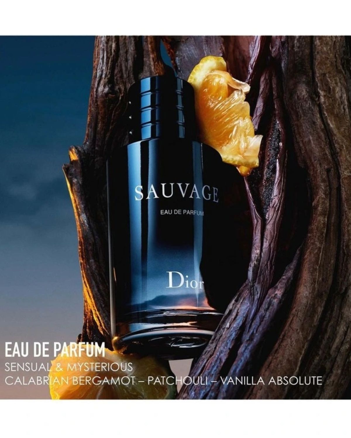 Dior - Dior Sauvage EDP Set Limited Edition - The Beauty Shop - 3348901680547