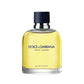 Dolce & Gabbana - Dolce & Gabbana Pour Homme EDT 75ml - The Beauty Shop - 737052074443