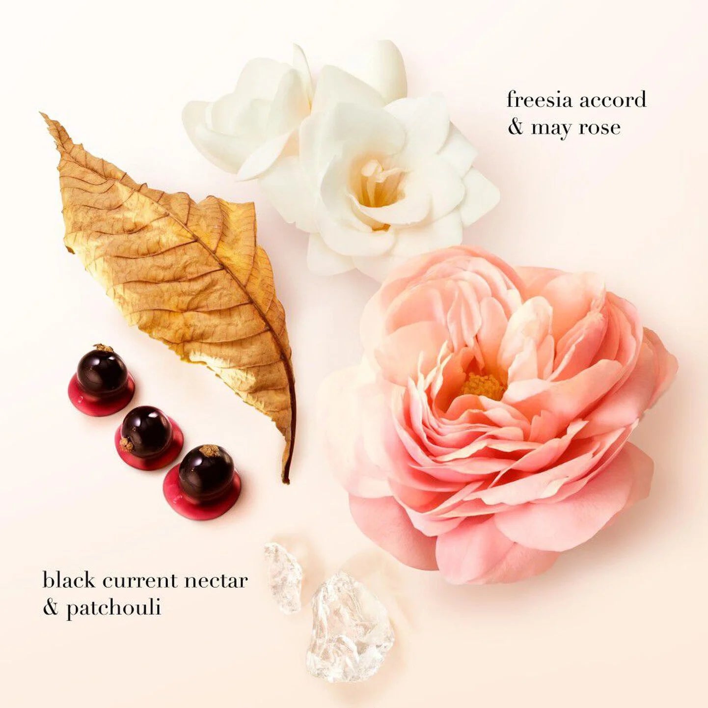 Si Eau de Parfum 100ml Xmas 25